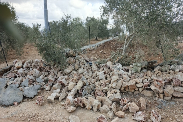 مستعمرون يعتدون على أراضي المواطنين في فرخة جنوب سلفيت-الحياة الجديدة