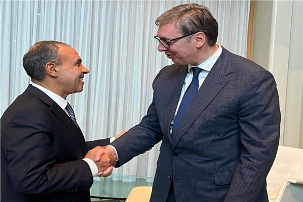 وزير الخارجية: مصر تعتز بعلاقاتها التاريخية مع صربيا 