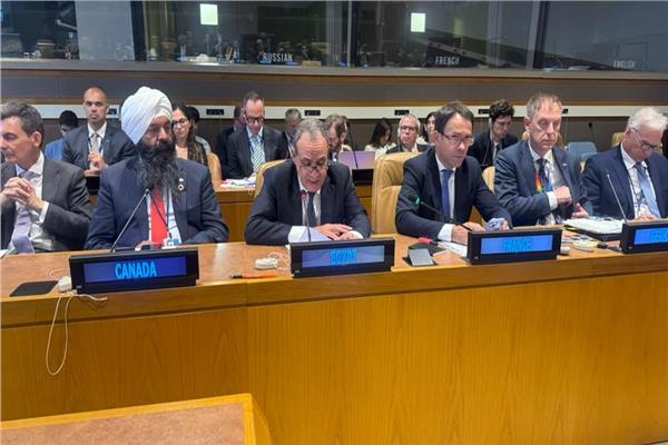 وزير الخارجية يشارك في اجتماع لجنة التواصل بشأن فلسطين «AHLC»