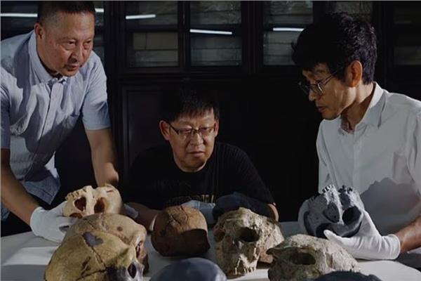 اكتشاف جمجمة قديمة يعيد تأريخ نشأة الإنسان إلى أكثر من مليون سنة