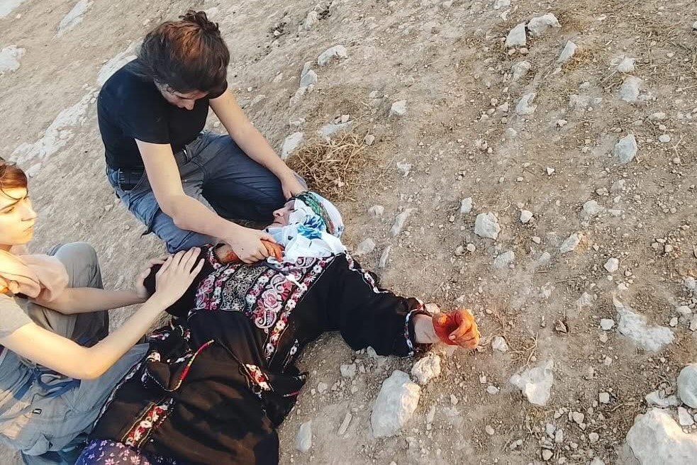 إصابة مسنة ومتضامنتين أجنبيتين في هجوم للمستعمرين جنوب الخليل-الحياة الجديدة