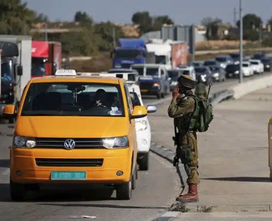 المعلم الفلسطيني.. جندي المعرفة في وجه الاحتلال وضيق العيش-الحياة الجديدة