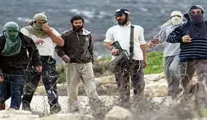 عشرات المستعمرين يقتحمون بلدة كفل حارس في سلفيت-الحياة الجديدة