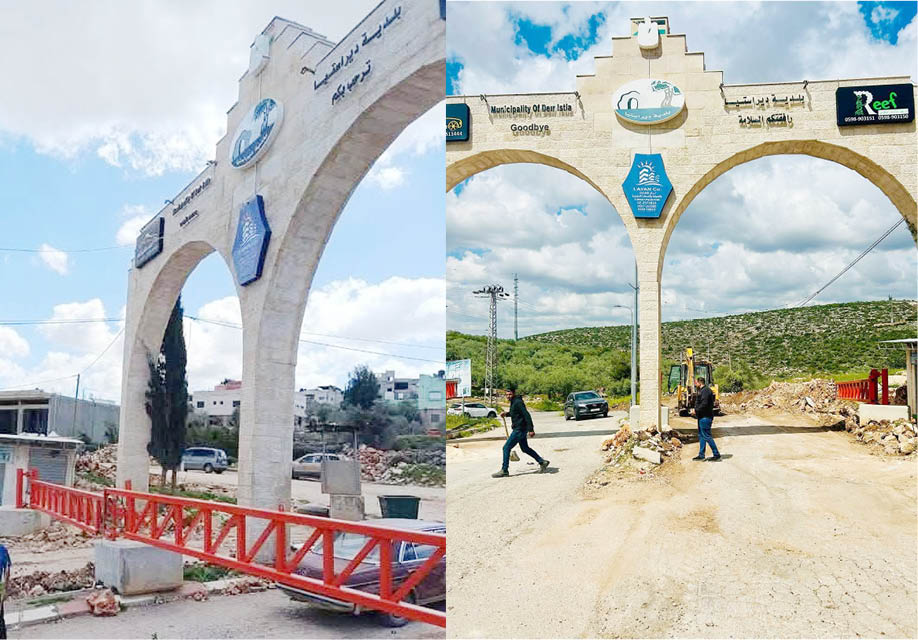 زيتون دير استيا.. الشاهد الصامت على معركة البقاء-الحياة الجديدة