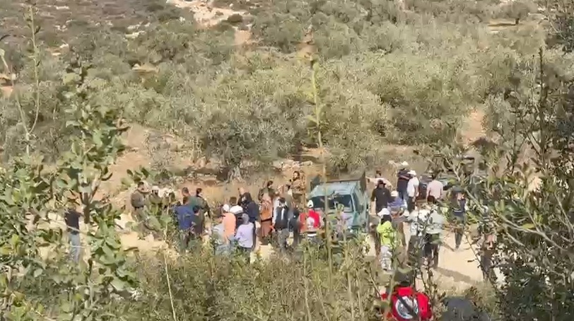 ثلاث إصابات بينها متضامن أجنبي إثر هجوم مستعمرين على قاطفي الزيتون في ترمسعيا-الحياة الجديدة