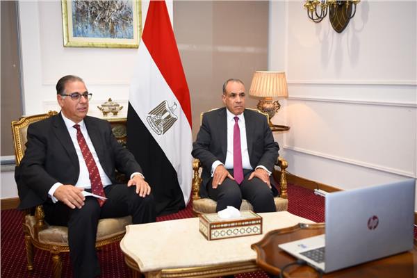 وزير الخارجية يشارك في إطلاق الصالون الثقافي للمصريين بالخارج