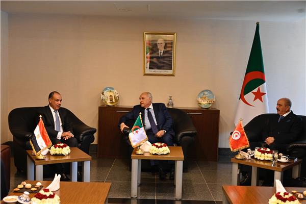 وزير الخارجية يشارك في اجتماع ثلاثي لدول جوار ليبيا بالجزائر