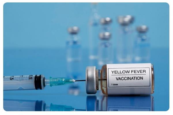 اختراق علمي جديد: لقاح تجريبي يحقق نتائج مشجعة ضد فيروس لاسا