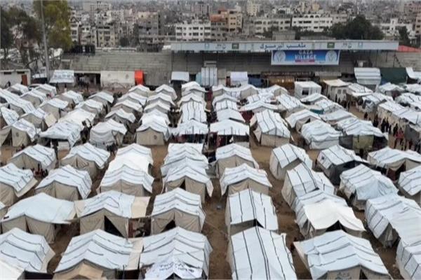 اللجنة المصرية بغزة: استجابة فورية لدعم مخيمات النزوح مع دخول الشتاء