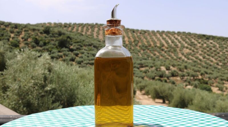 تونس تحدد سعرا مرجعيا لزيت الزيتون مع ارتفاع الصادرات