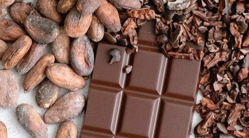 تراجع أسعار الكاكاو إلى أدنى مستوياتها بسبب مخاوف الاستيراد