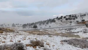 هل من عاصفة قطبية ستضرب لبنان؟