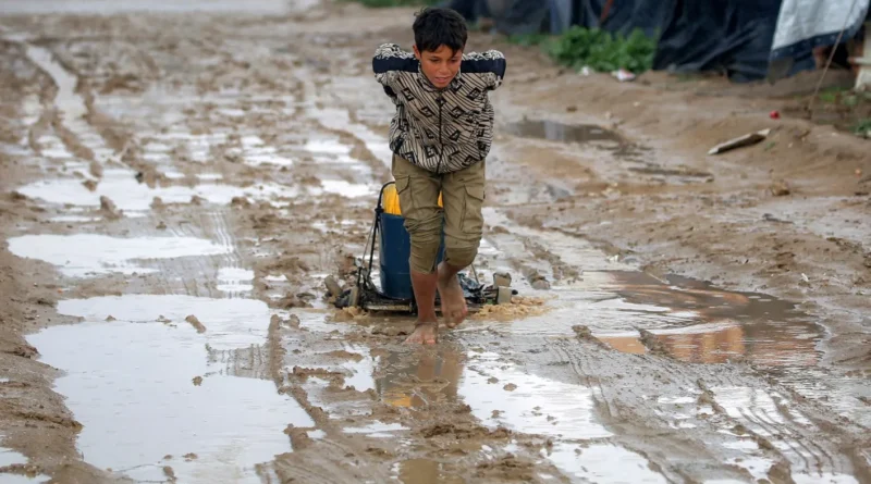 “مجلس السلام” في غزة، هل غيّر ترامب في نظرية أرسطو؟