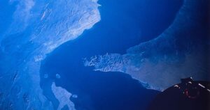 اقتصادي أمريكي يحذر من انهيار عالمي وشيك بسبب حرب إيران “ضرر يستعصي إصلاحه”