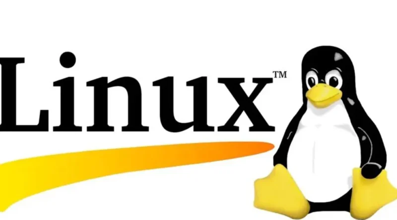 قرار تقني بطابع سيادي: فرنسا تعيد بناء نظامها الرقمي خارج مظلة “ويندوز”