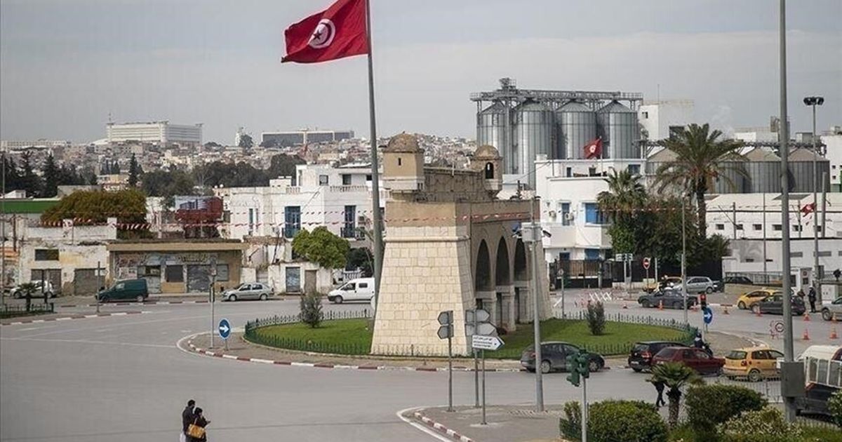 عشرات الحافلات الصينية تصل تونس.. هل تكفي للنقل العام؟