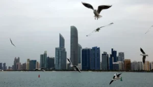 الإمارات تستعرض جاهزية الوزارات لبناء نماذج وأنظمة الذكاء الاصطناعي