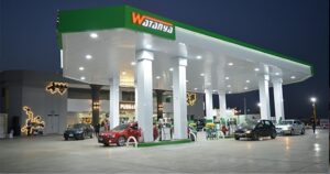 تخارج حقيقي أم صوري؟.. تفاصيل مثيرة بصفقة بيع شركة مملوكة للجيش المصري