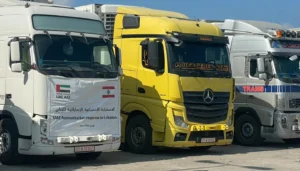 بالصور… وصول أولى دفعات المساعدات الإماراتية إلى لبنان