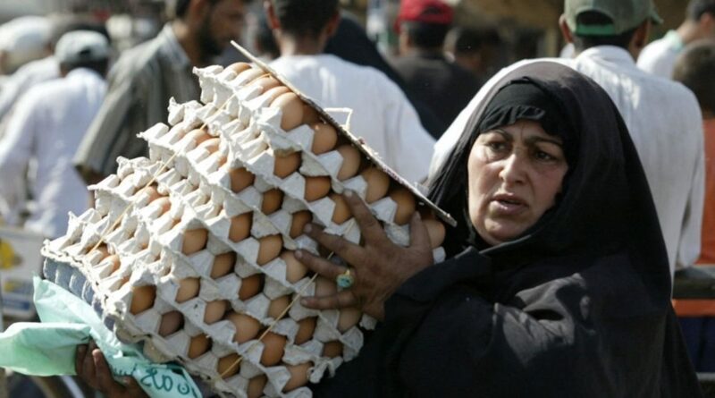بغداد تضع خطة للاكتفاء الذاتي من البيض.. وتكشف حاجة العراقيين السنوية