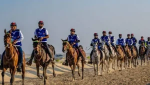 من الإمارات والسويد إلى بريطانيا… الذكاء الاصطناعي يراقب صحة الخيول