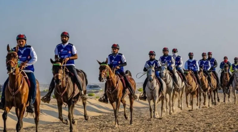 من الإمارات والسويد إلى بريطانيا… الذكاء الاصطناعي يراقب صحة الخيول