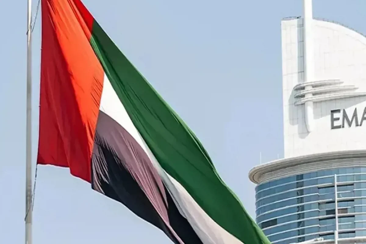 الإمارات في صدارة التحول الأخضر.. كيف عززت مكانتها ضمن نمو الطاقة المتجددة في المنطقة؟