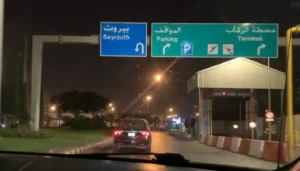 كلاب شاردة في موقف المطار