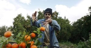 تصدير 10 آلاف طن من الخضار والفواكه السورية خلال 10 أيام للخليج