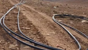 خراطيم المازوت “تهرّب” الحليب من سوريا إلى لبنان… وتجار عبر الحدود يقتلون المزارع والناس بالسموم!