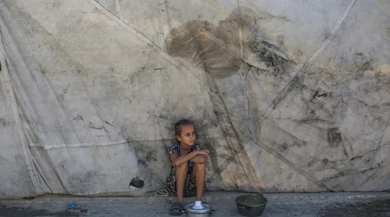 عودة تبتعد وغربة بلا نهاية
